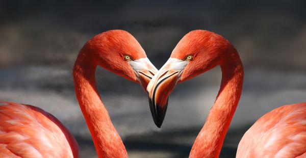 Escapade en Amoureux
